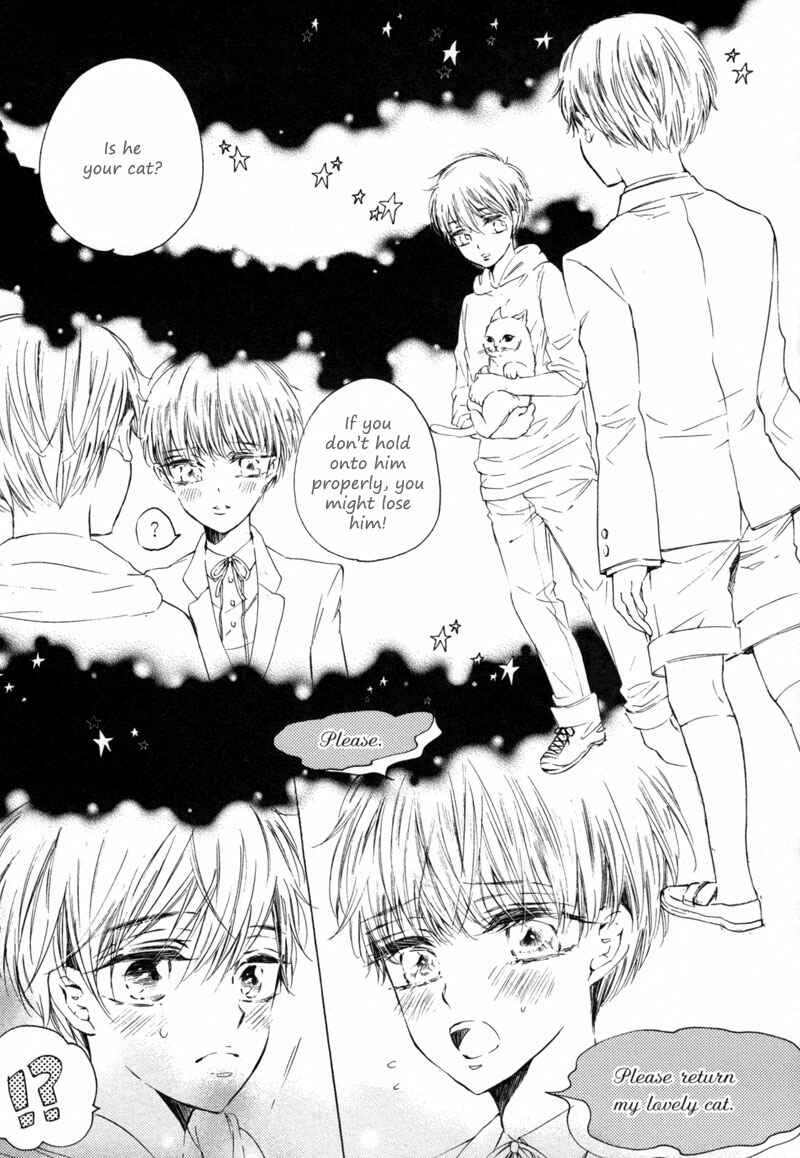 Page 40 Chapter 5 Prism Spectrum