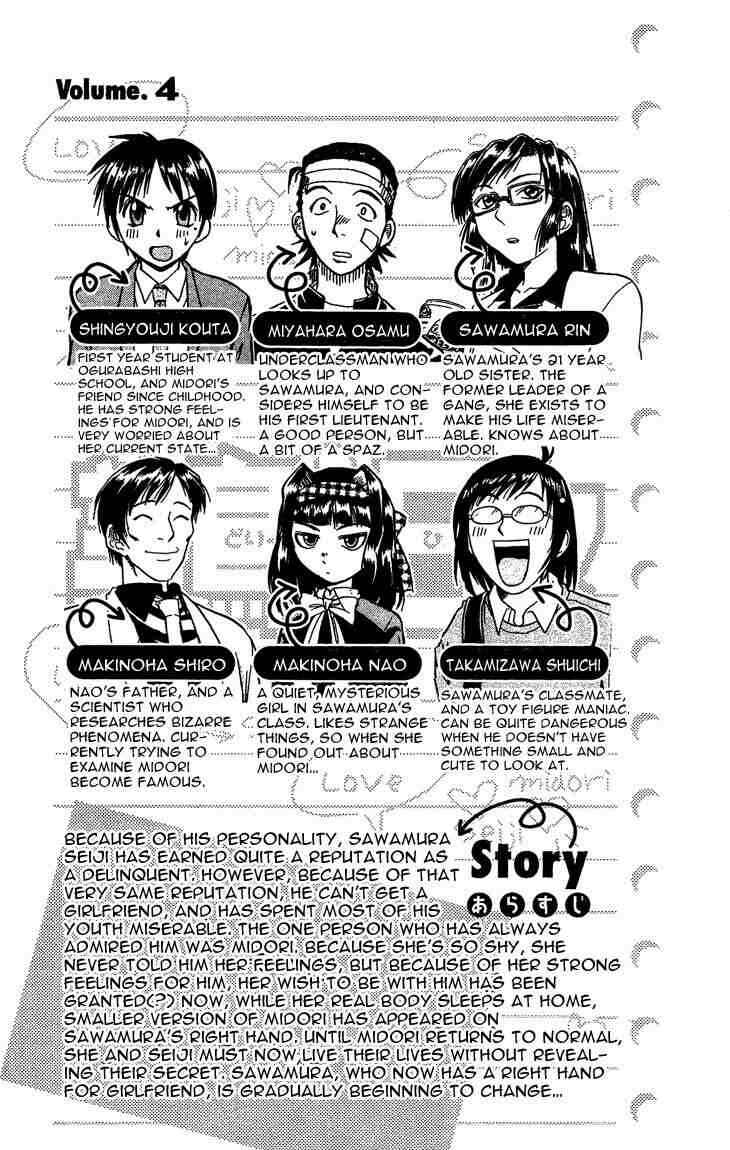 Page 3 Chapter 33 Midori Days