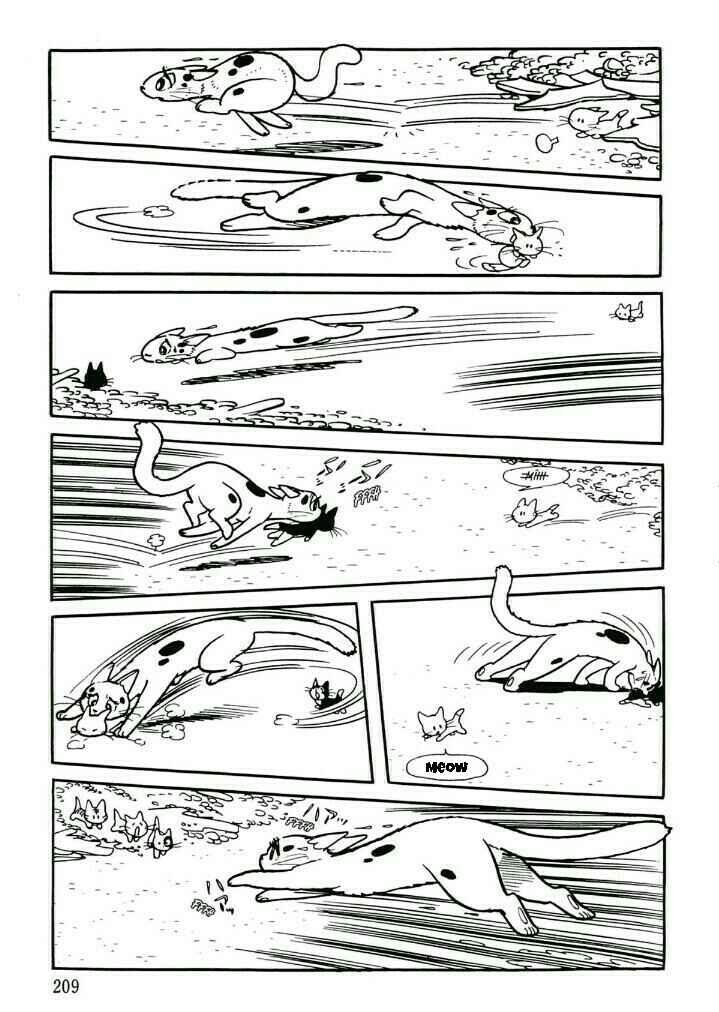 Page 7 Chapter 36 Midnight