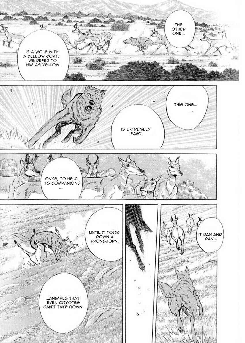 Page 7 Chapter 4 Seton