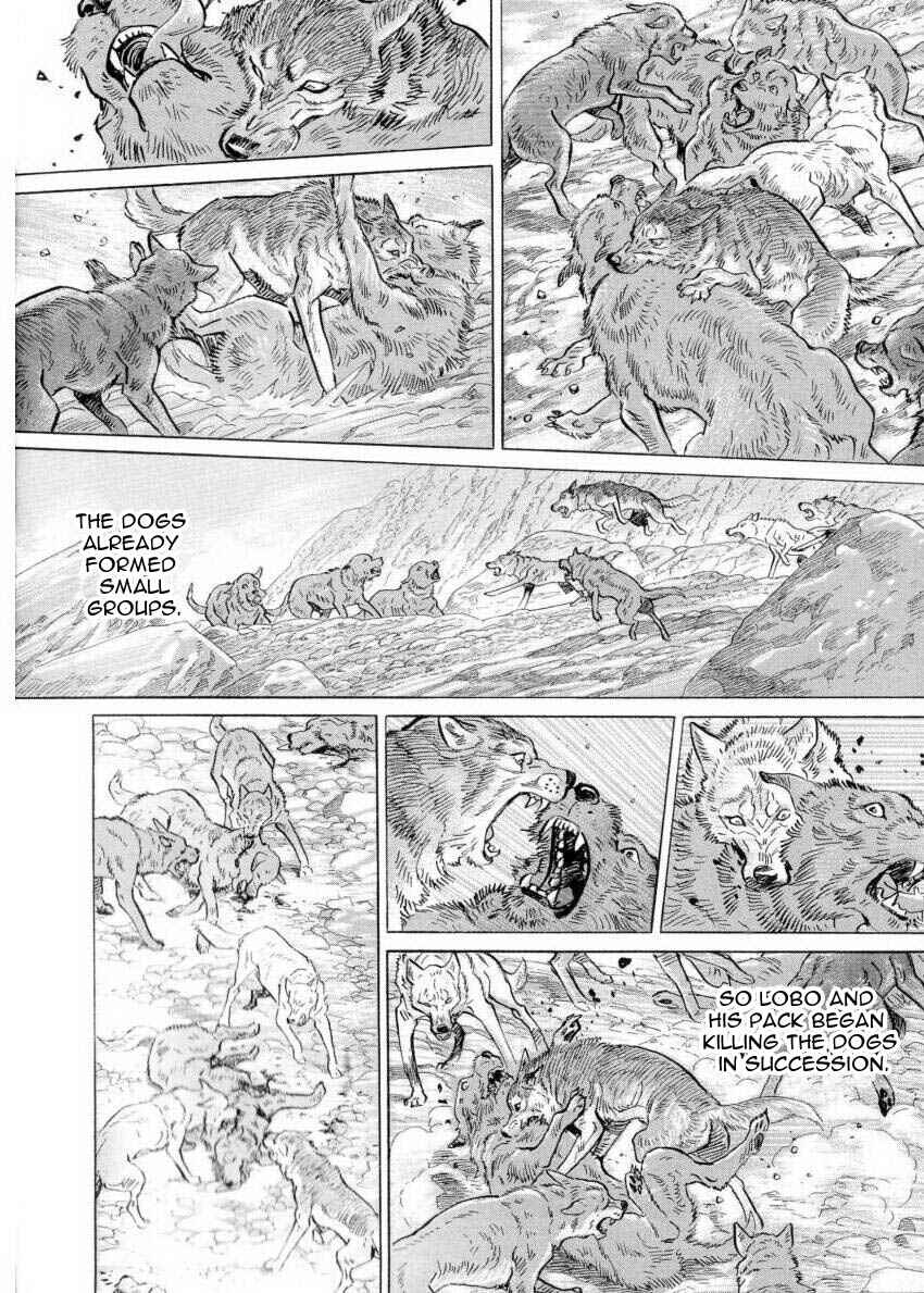 Page 16 Chapter 2 Seton