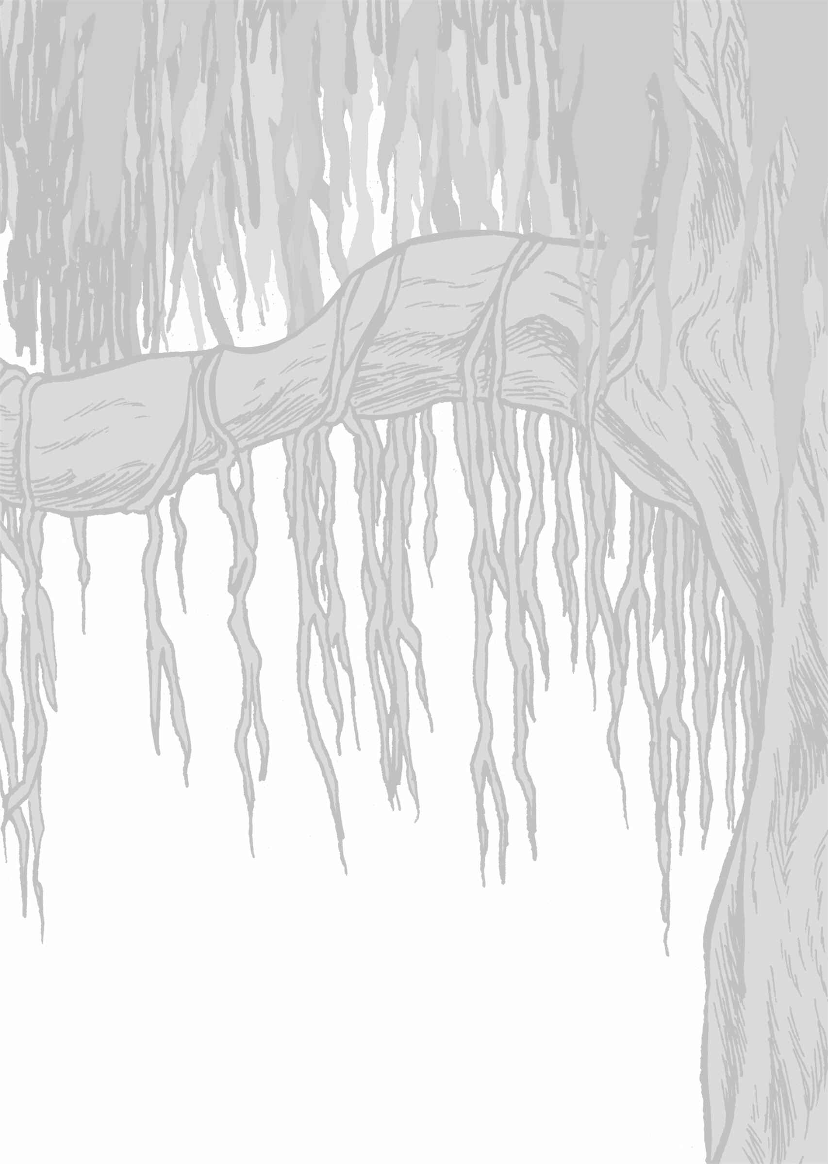 Page 2 Chapter 7.1 The Euphrates Tree