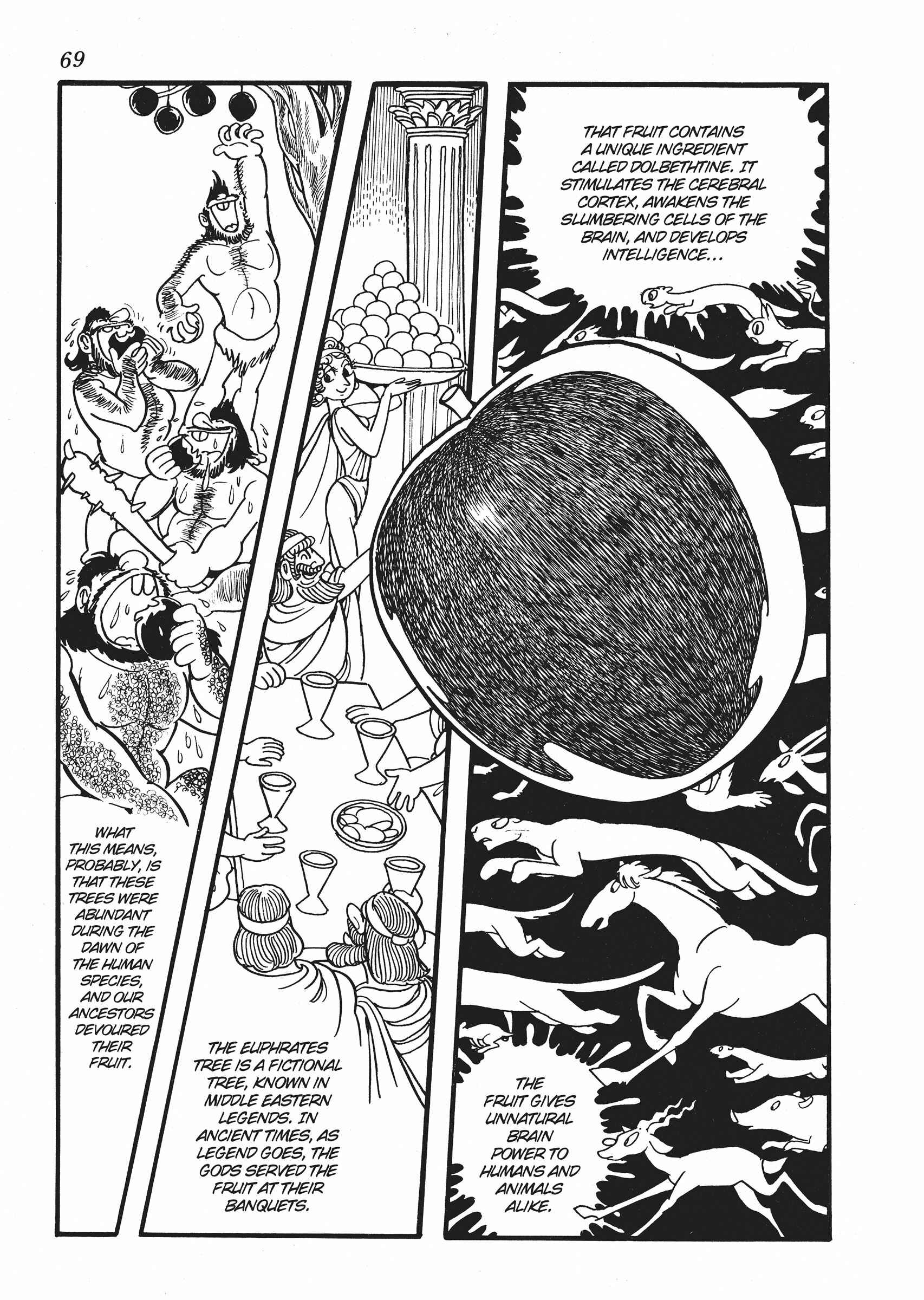 Page 29 Chapter 2 The Euphrates Tree