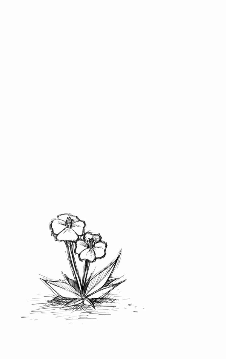 Page 48 Chapter 12 Tripeace