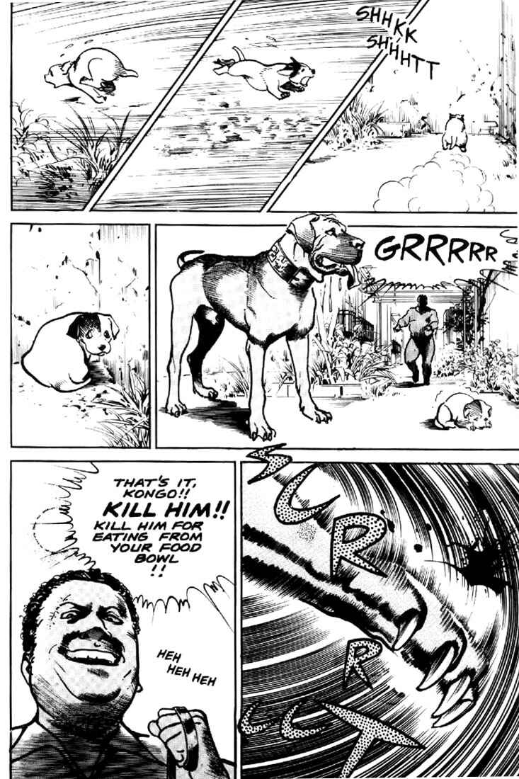 Page 15 Chapter 15 Mai