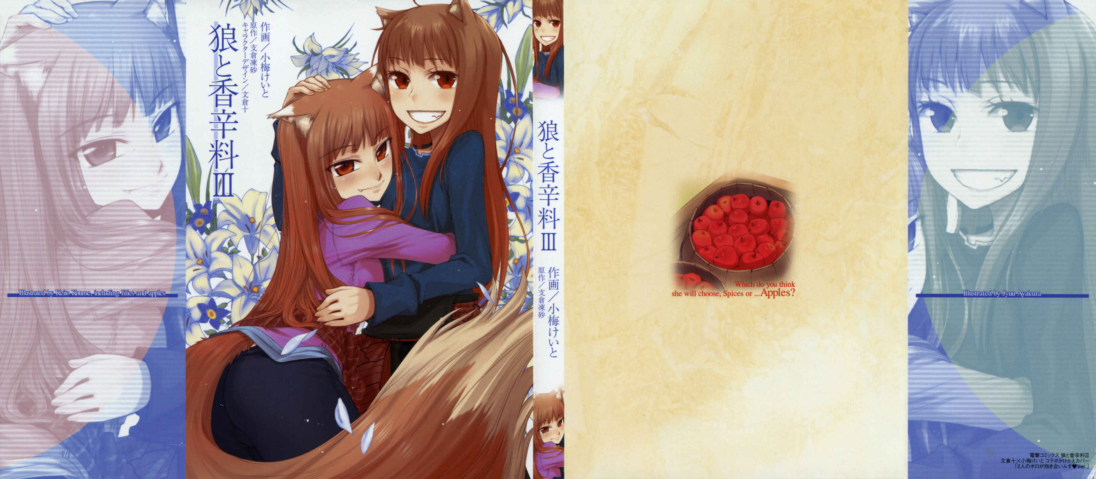 Page 3 Chapter 13 Spice and Wolf