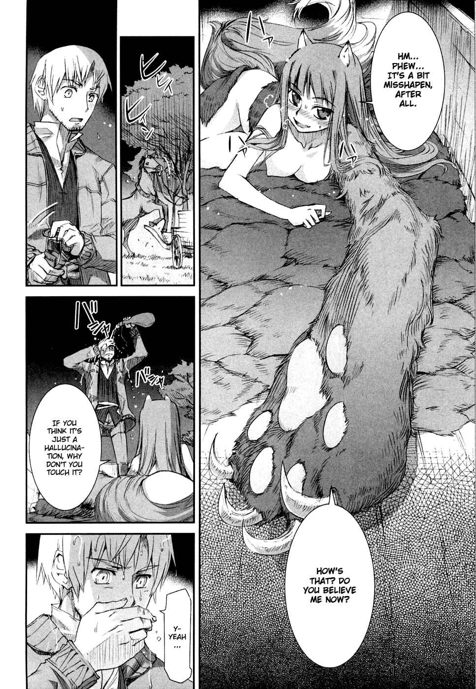 Page 15 Chapter 2 Spice and Wolf
