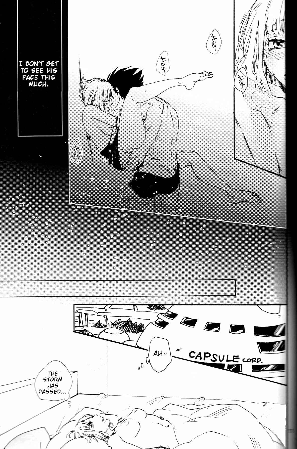 Page 11 Chapter Unknown_2a66 Dragon Ball - The Drop of Moonlight (Doujinshi)