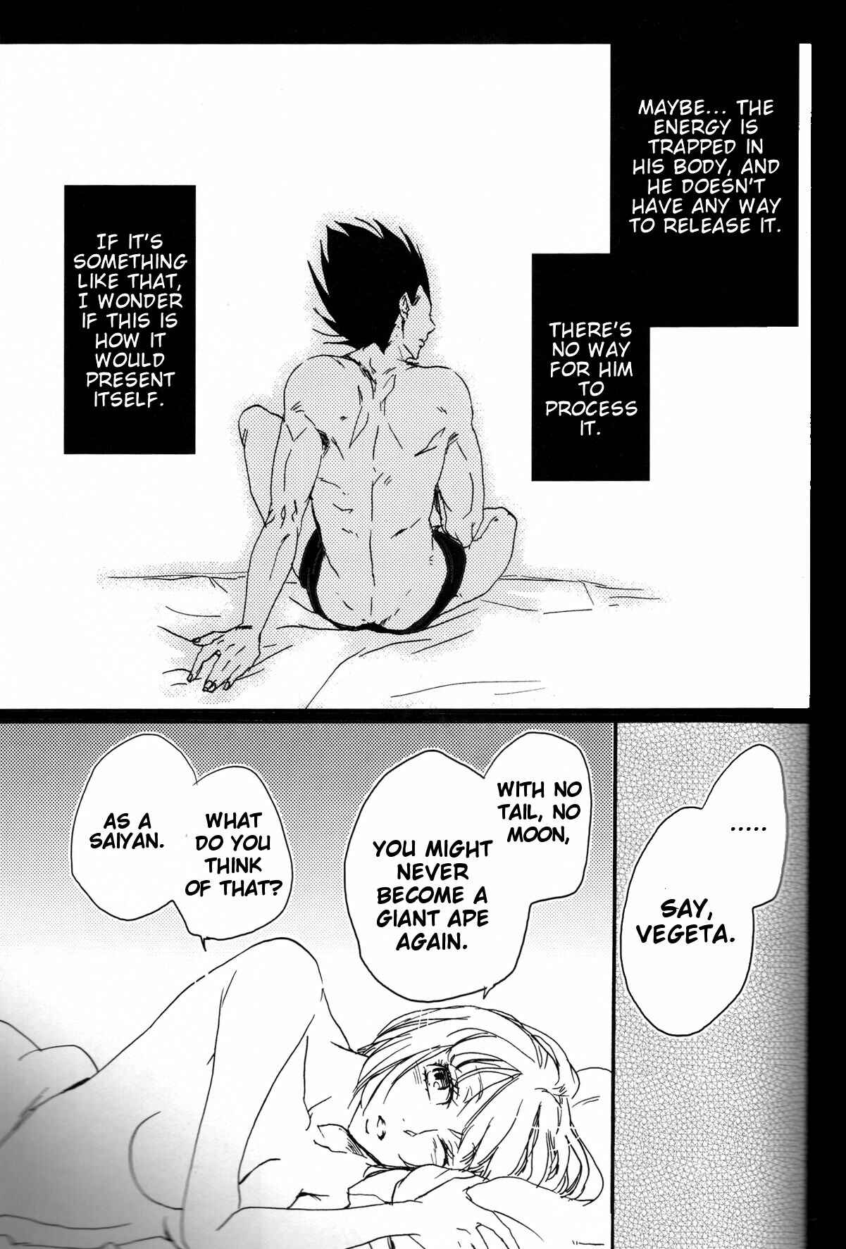 Page 17 Chapter Unknown_2a66 Dragon Ball - The Drop of Moonlight (Doujinshi)
