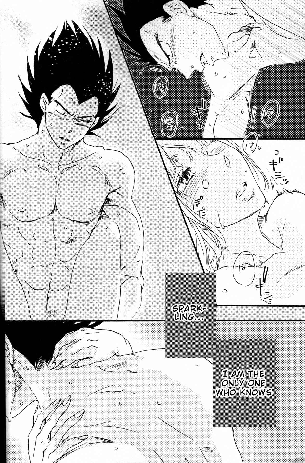 Page 20 Chapter Unknown_2a66 Dragon Ball - The Drop of Moonlight (Doujinshi)