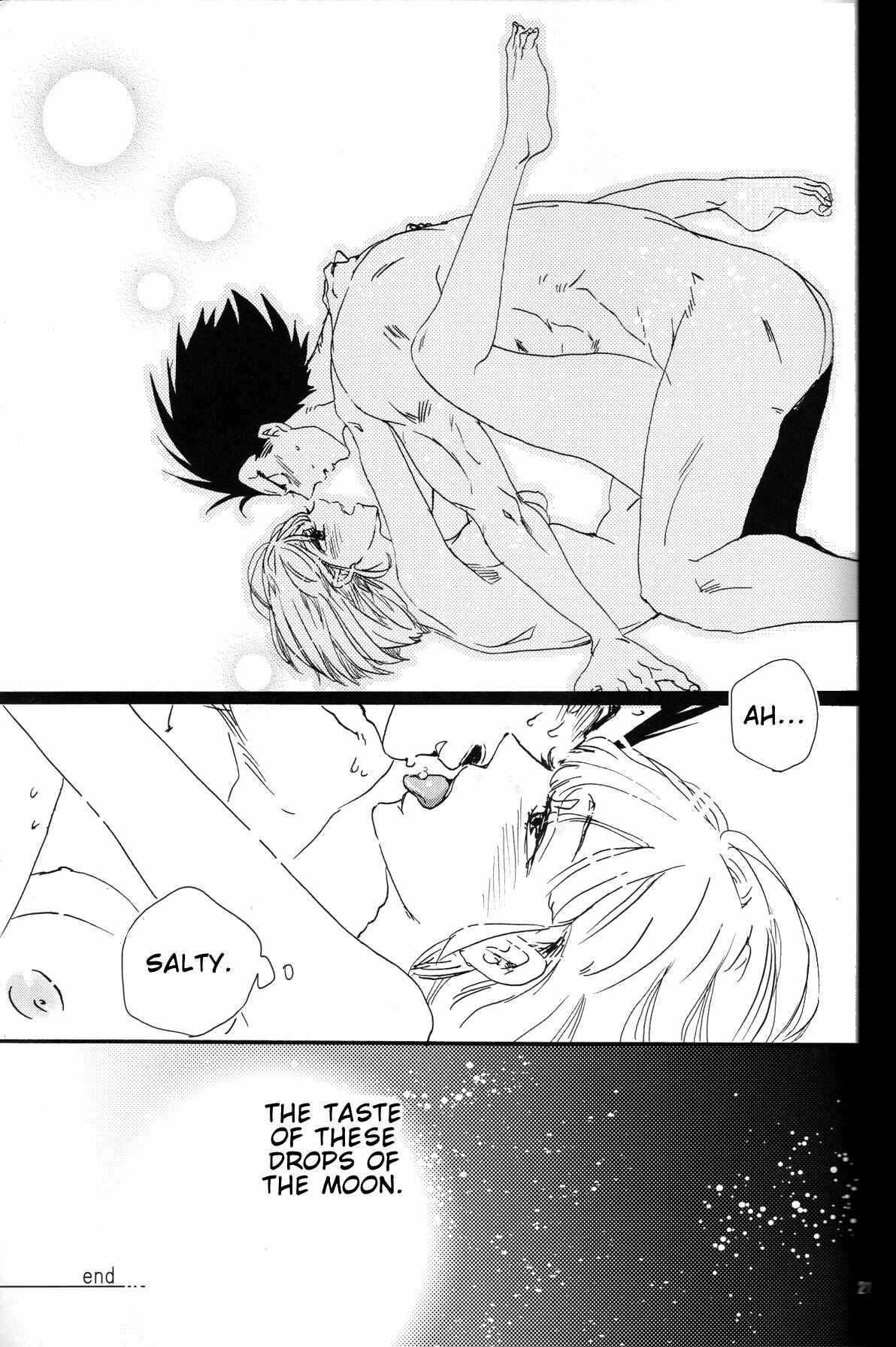 Page 21 Chapter Unknown_2a66 Dragon Ball - The Drop of Moonlight (Doujinshi)