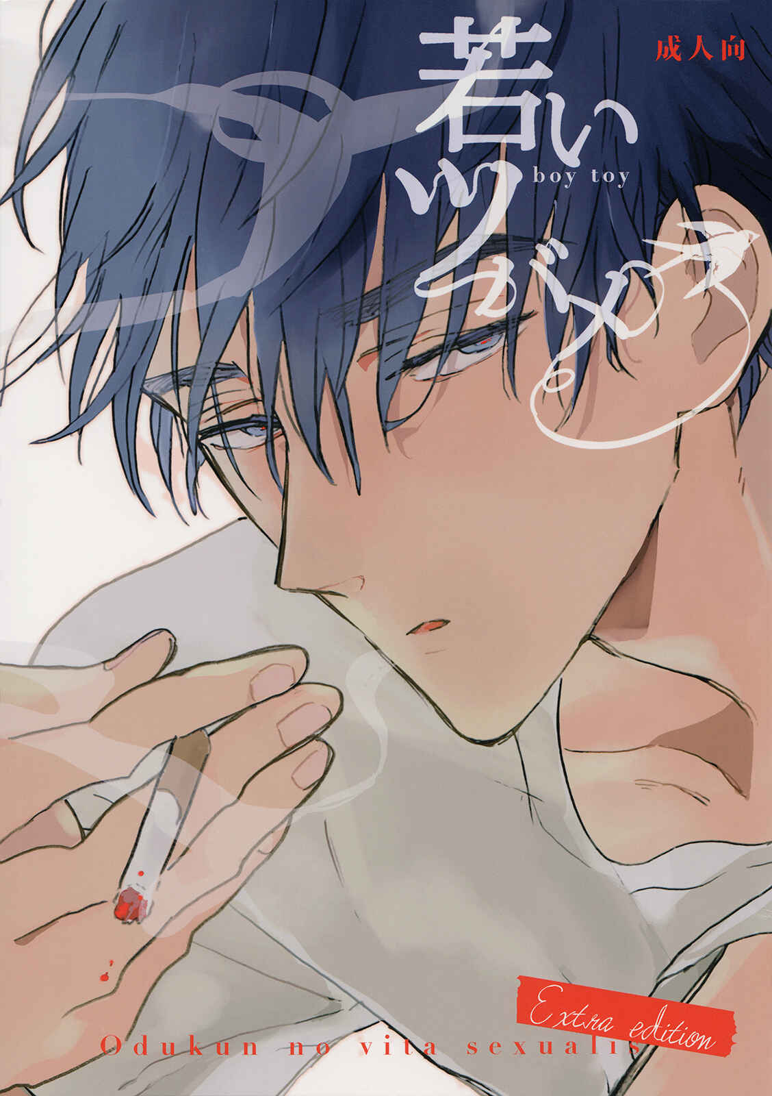 Page 1 Chapter Unknown_8710 Wakai Tsubame - Boy Toy