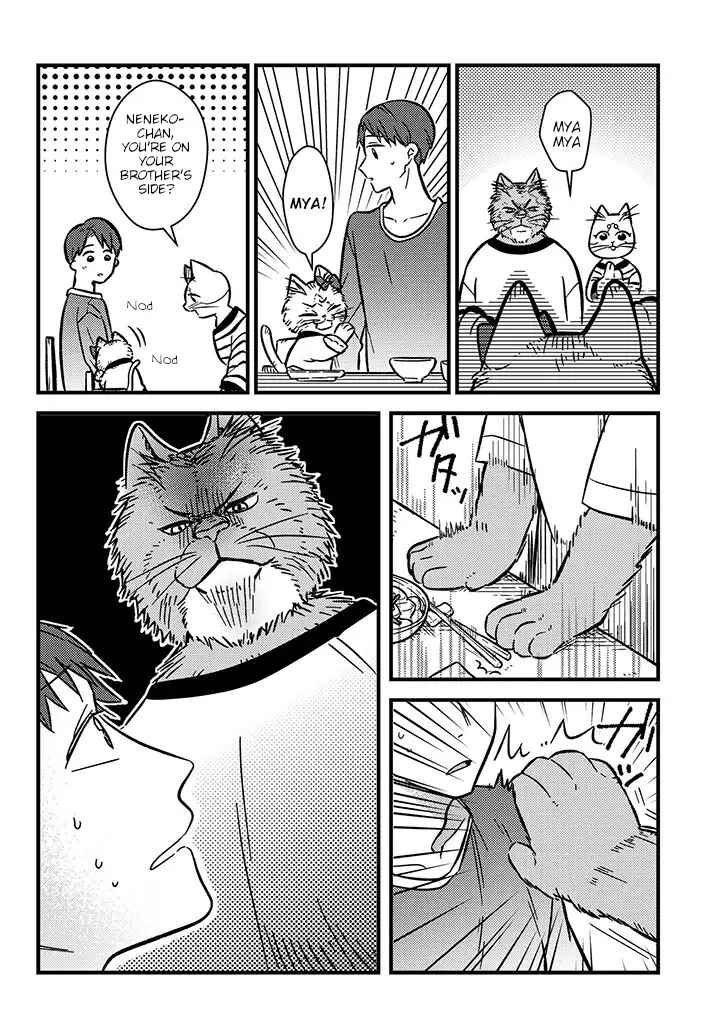 Page 2 Chapter 2 My Sister, The Cat