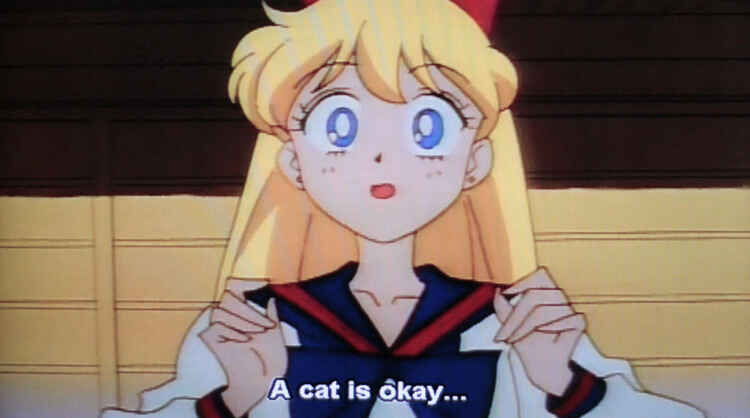 Page 12 Chapter 3 My Sister, The Cat