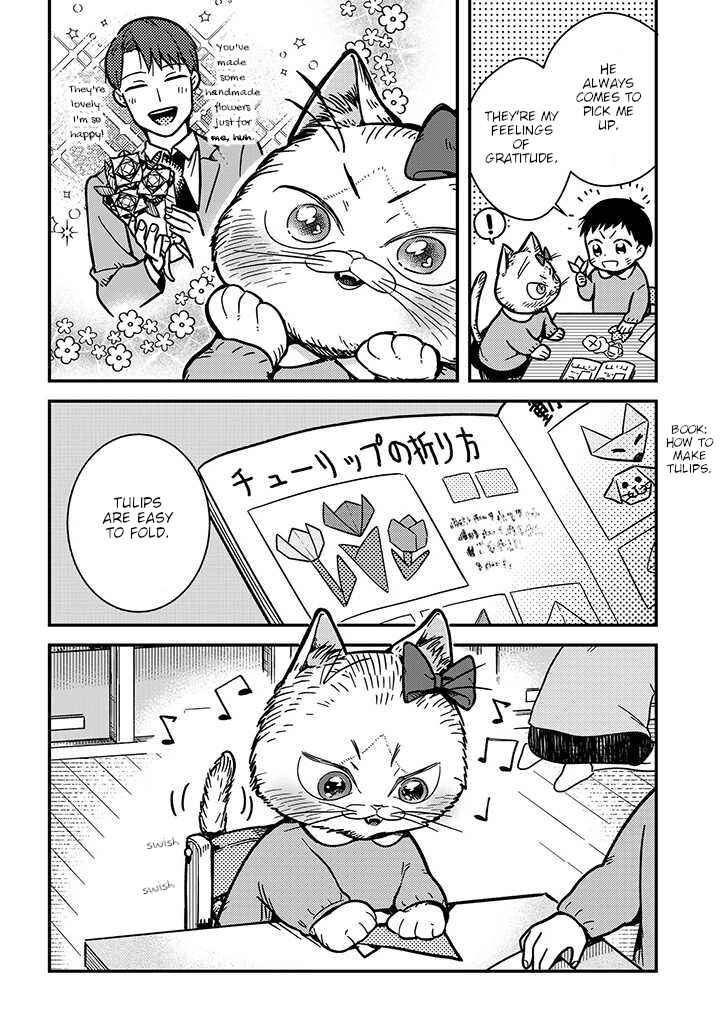 Page 2 Chapter 3 My Sister, The Cat