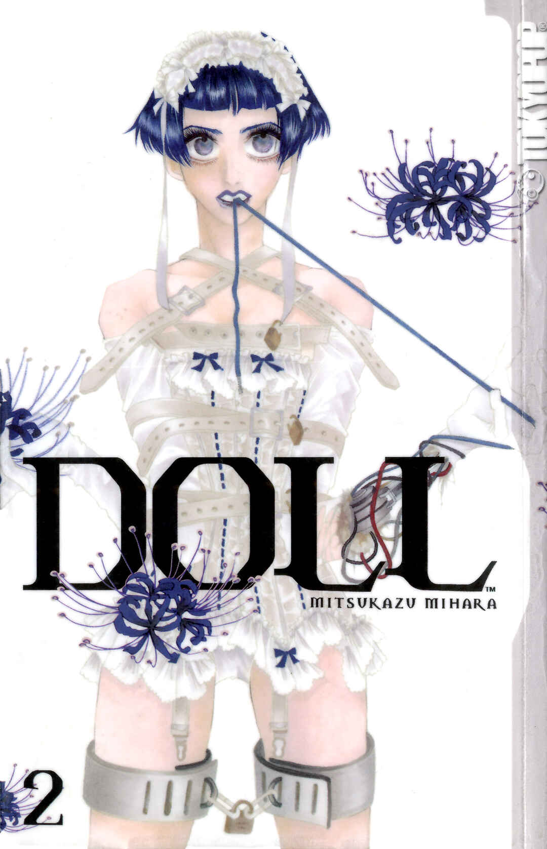 Page 2 Chapter 7 DOLL: IC in a Doll