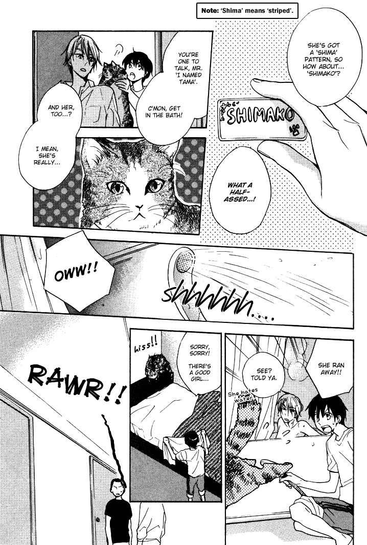 Page 3 Chapter 14 Rutta to Kodama