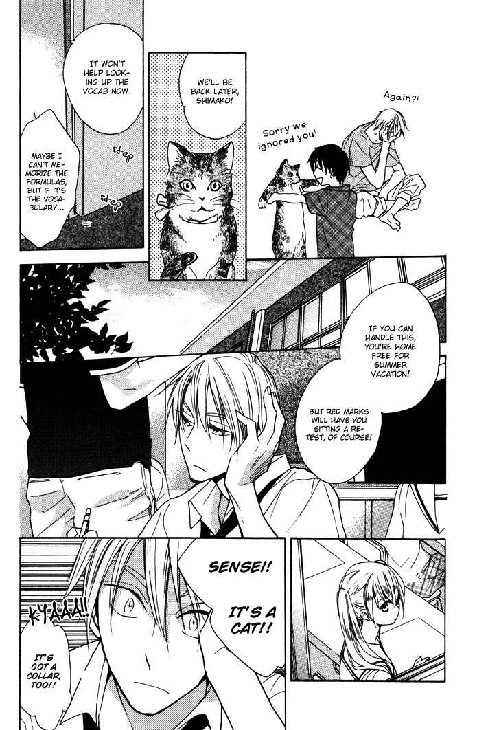 Page 8 Chapter 14 Rutta to Kodama