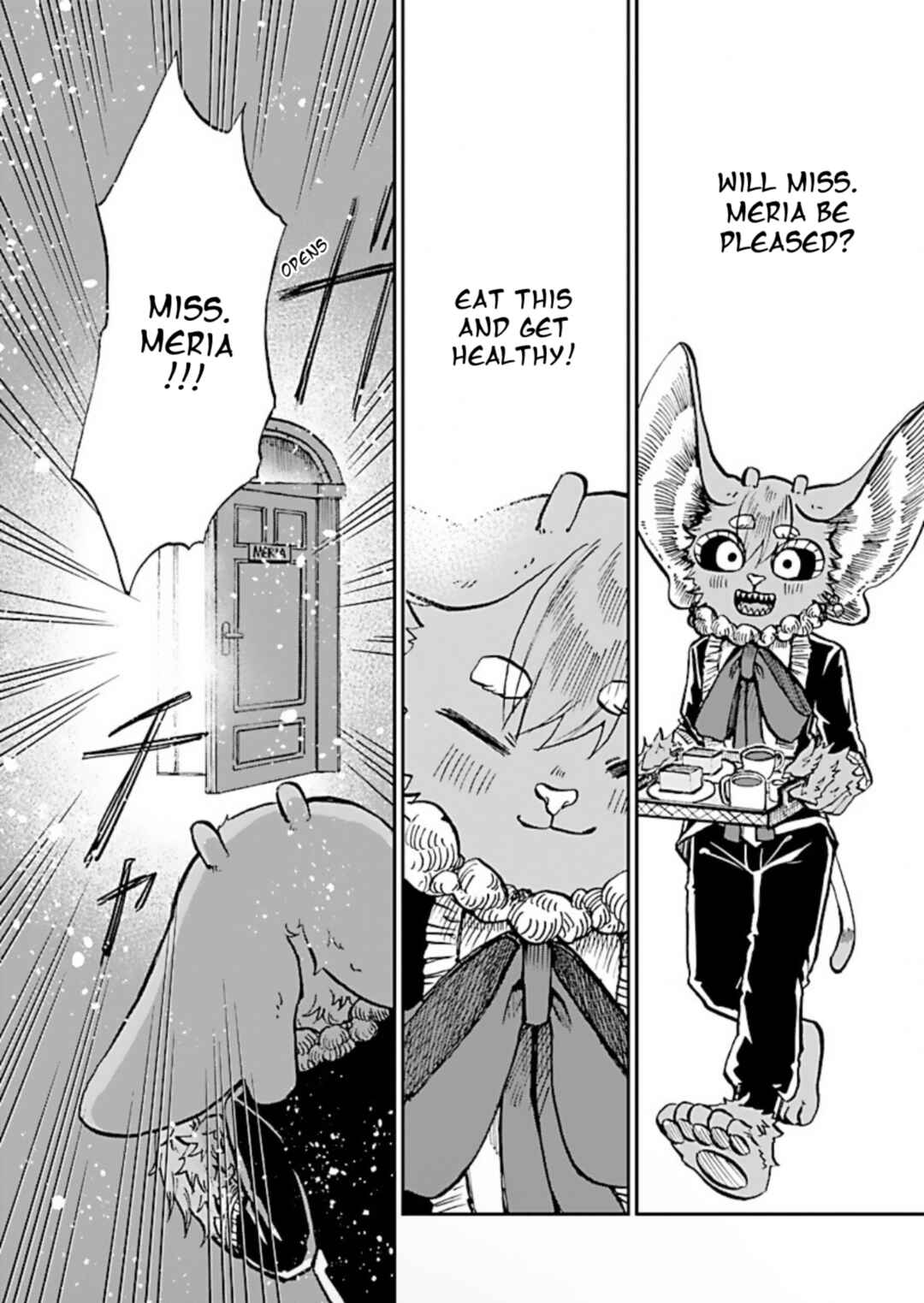 Page 17 Chapter 4 List Rouge