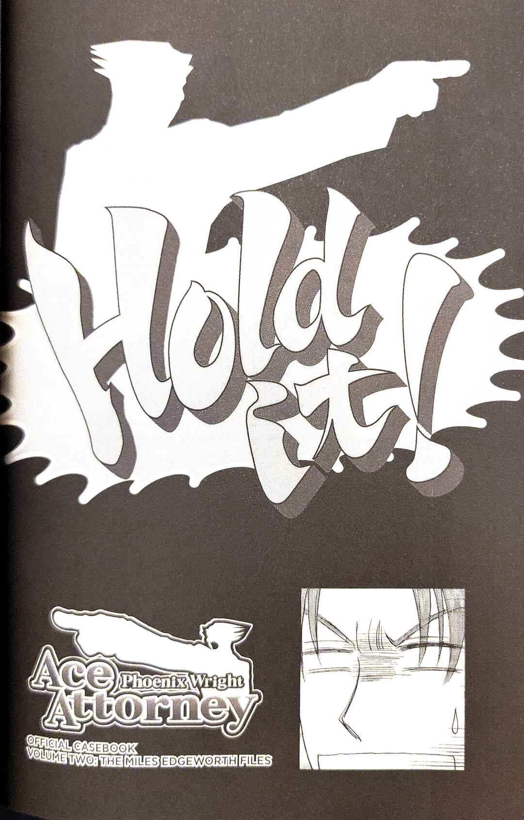 Page 2 Chapter 16.5 Gyakuten Saiban Official Anthology Comic: Naruhodou-hen