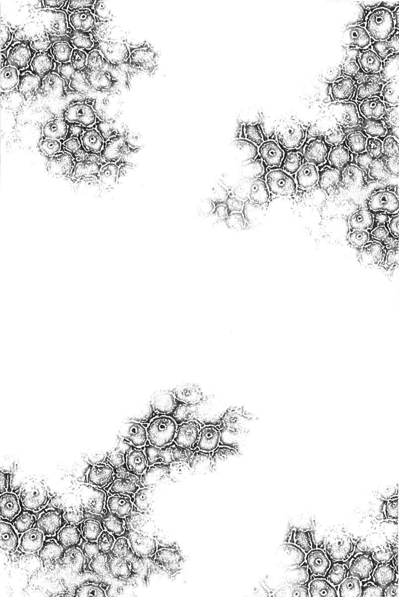 Page 33 Chapter 2 Pandemic