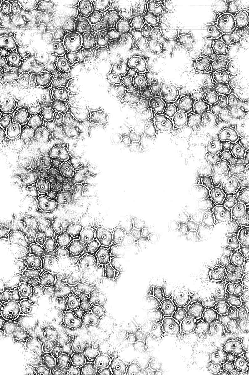 Page 32 Chapter 4 Pandemic