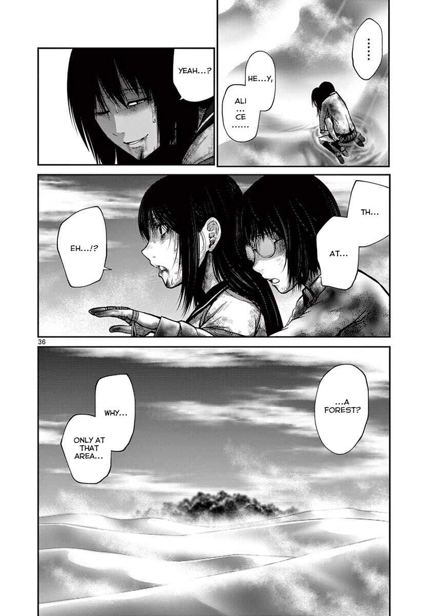 Page 34 Chapter 11 Alice on Border Road