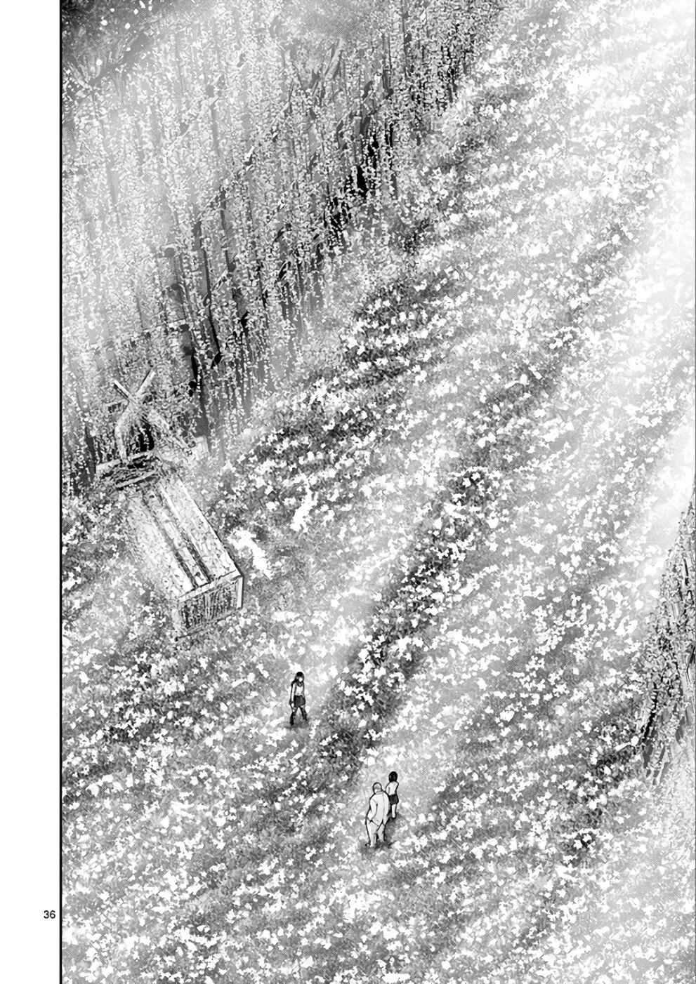 Page 34 Chapter 29 Alice on Border Road