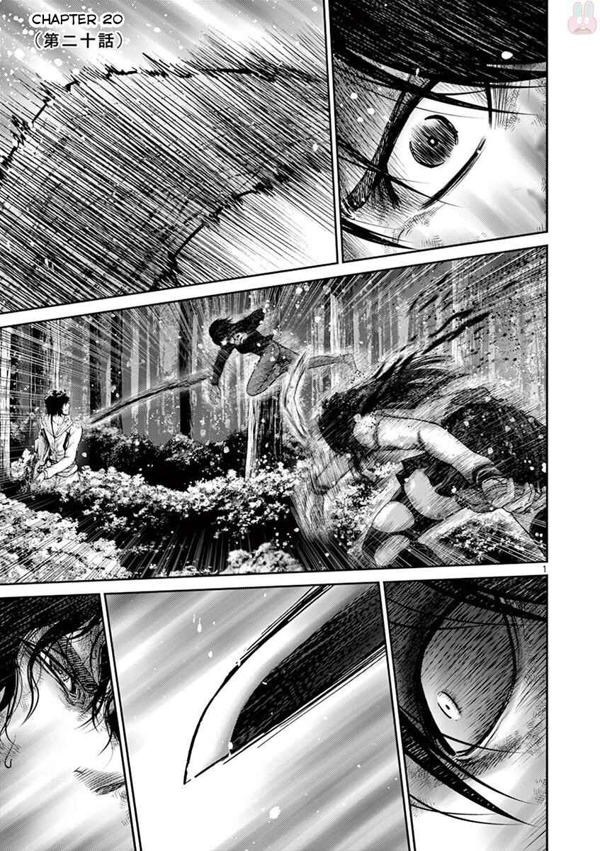 Page 7 Chapter 20 Alice on Border Road