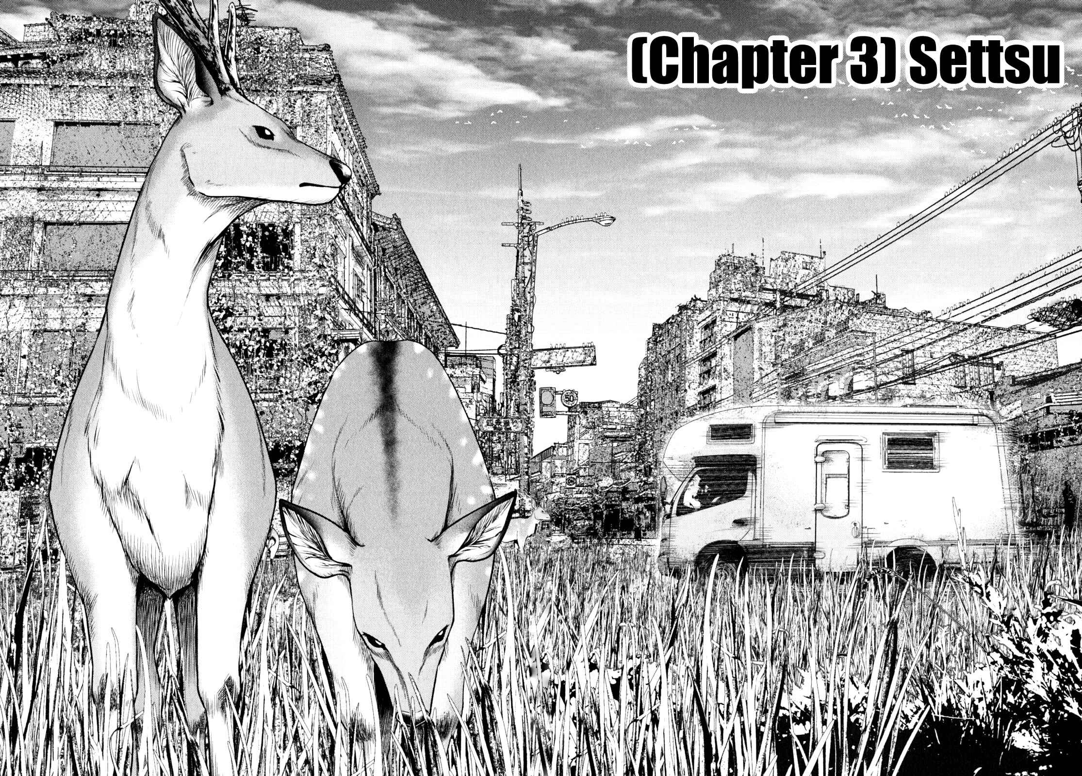 Page 3 Chapter 3 Alice on Border Road