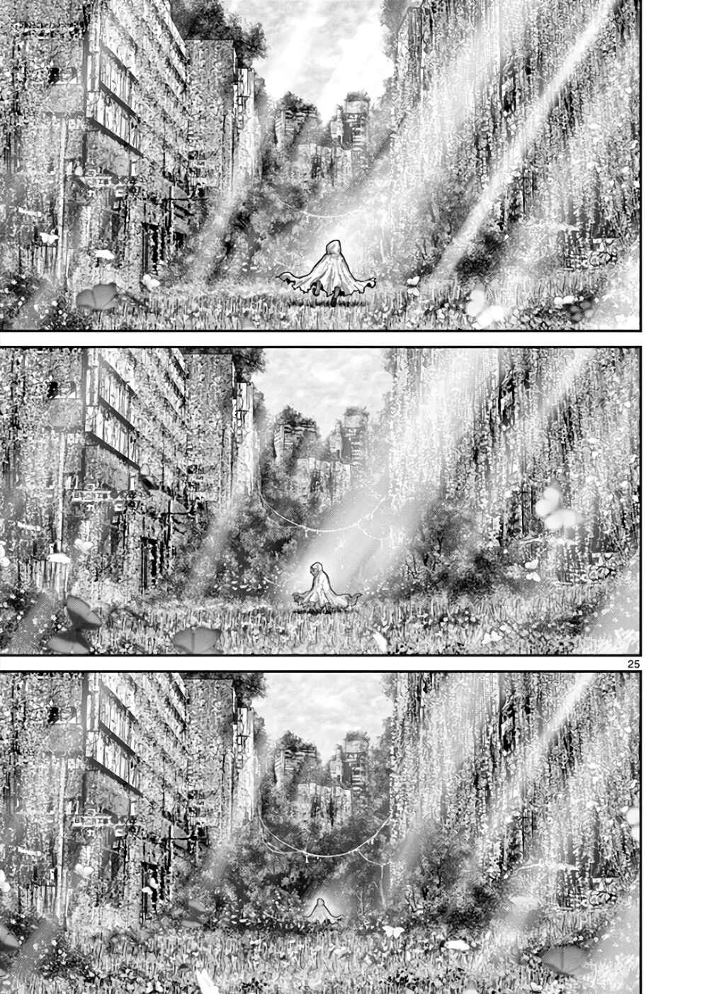 Page 25 Chapter 30 Alice on Border Road
