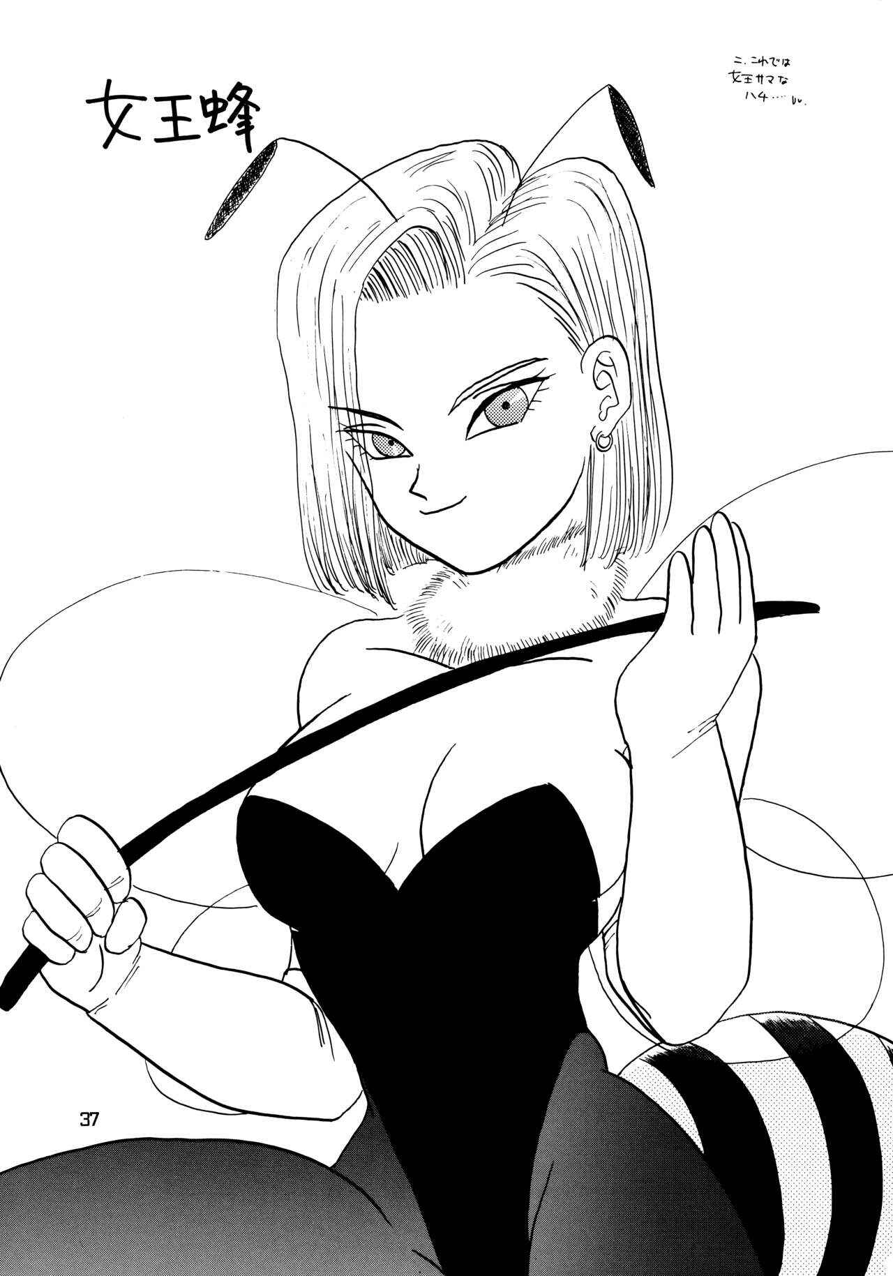 Page 36 Chapter Unknown_4ca0 Dragon Ball - YYY (Doujinshi)