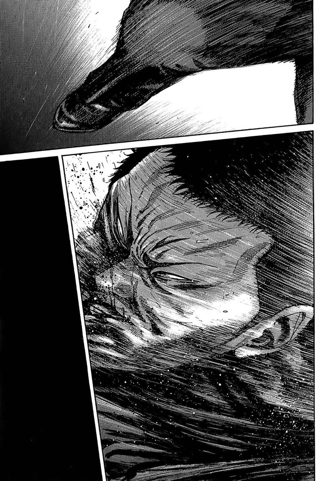 Page 31 Chapter 7.6 Shimauma