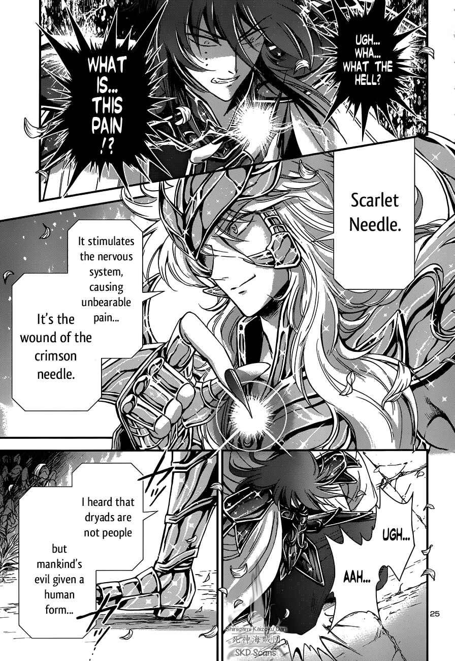 Page 25 Chapter 10 Saint Seiya: Saintia Sho