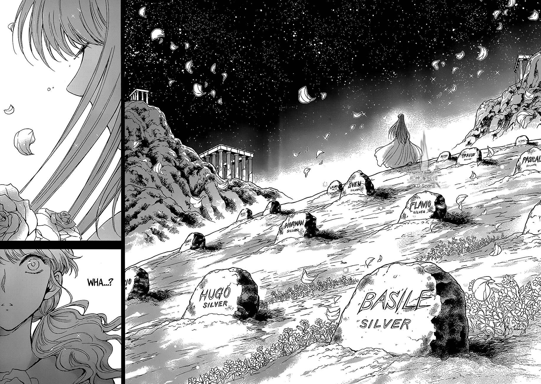 Page 17 Chapter 25 Saint Seiya: Saintia Sho