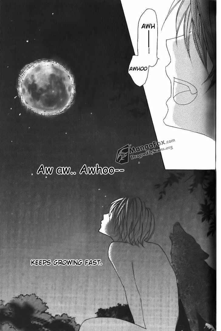 Page 12 Chapter 8.5 Boku wa Ookami
