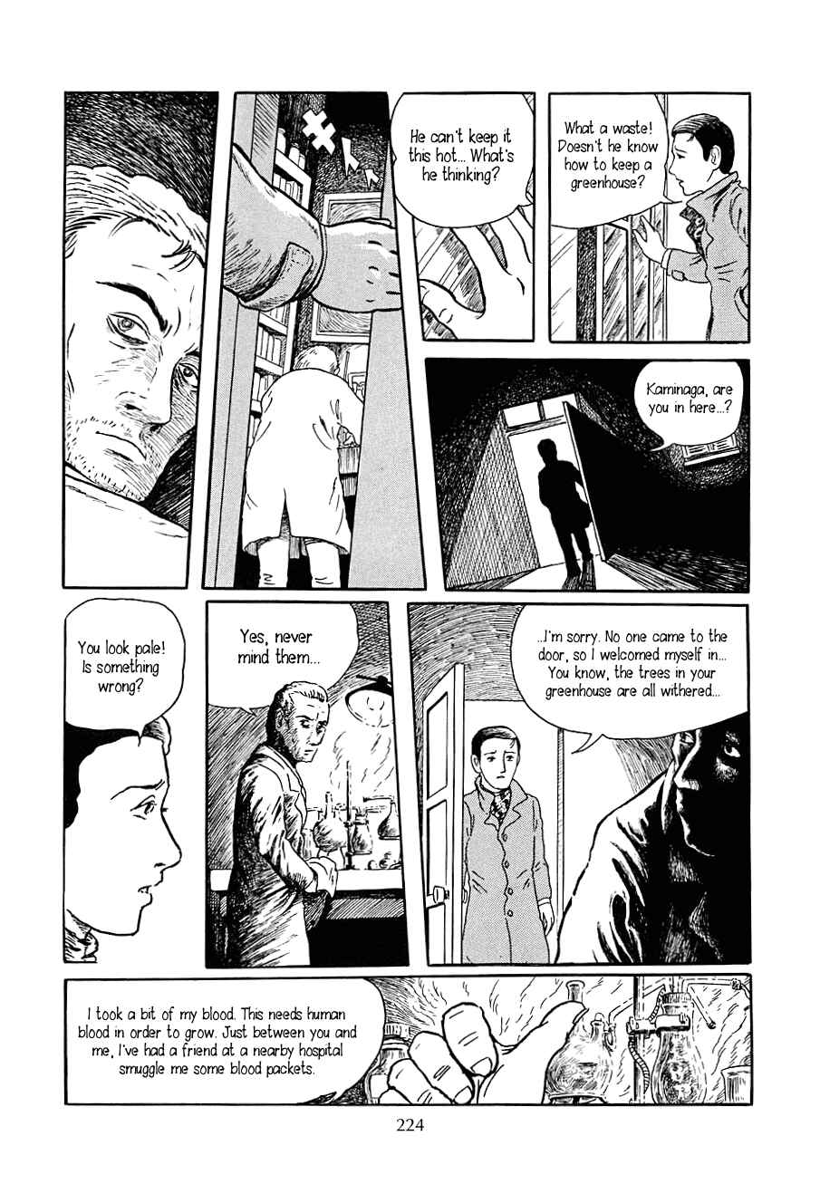Page 13 Chapter 8.5 Yokai Hunter - Night of the Sea Dragons Festival