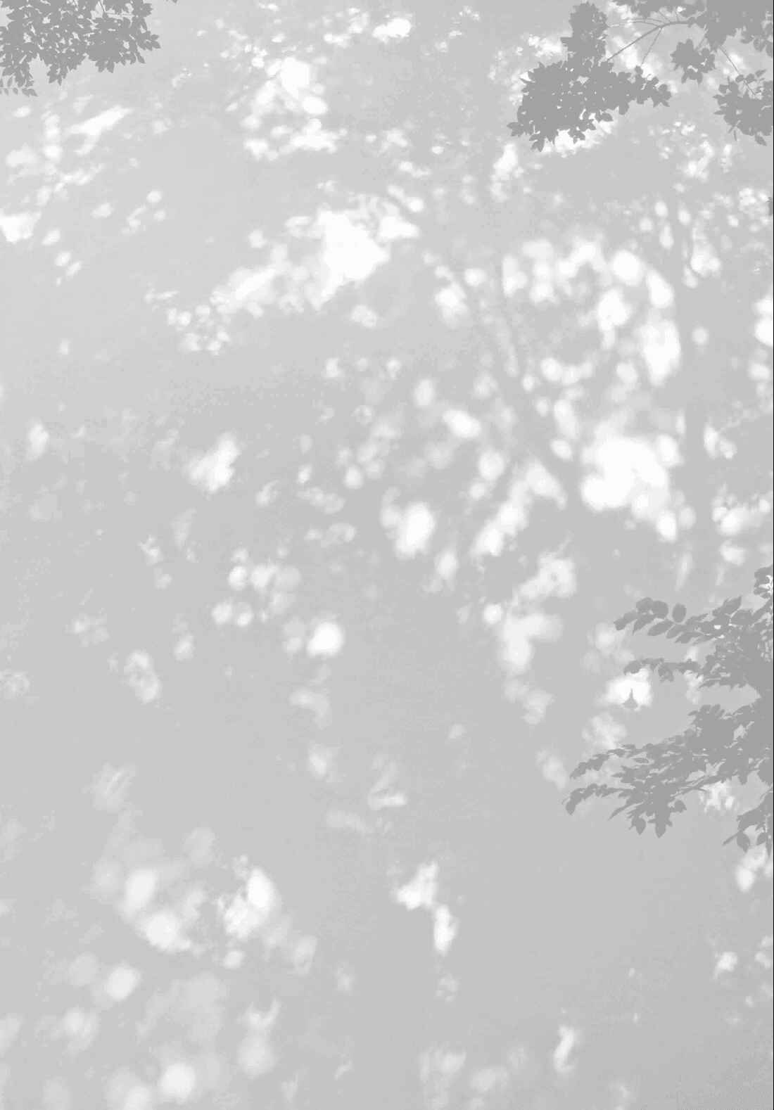 Page 3 Chapter 5 Labradorescence
