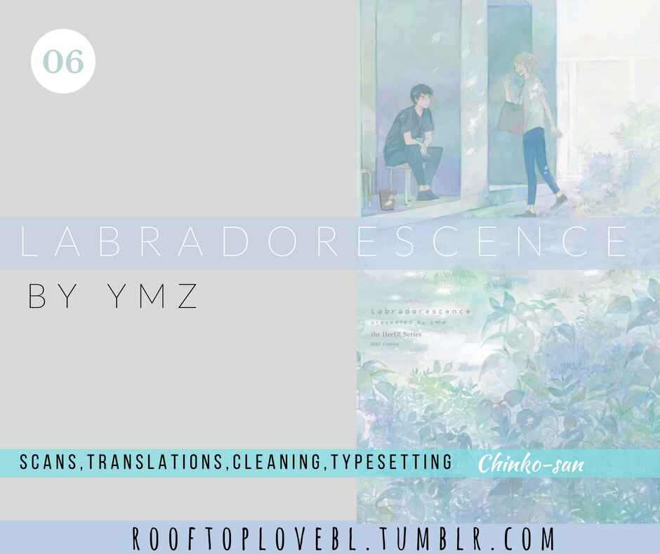 Page 1 Chapter 6 Labradorescence
