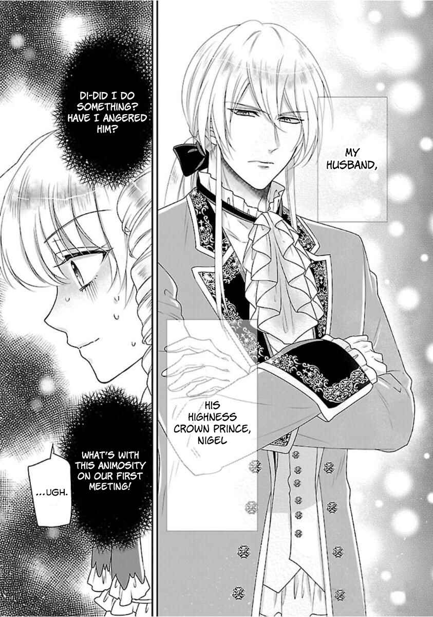 Page 15 Chapter 3 Nanchatte Cinderella Oukyuu Inbou Hen Isekai de, Outaishi hi Hajimemashita.