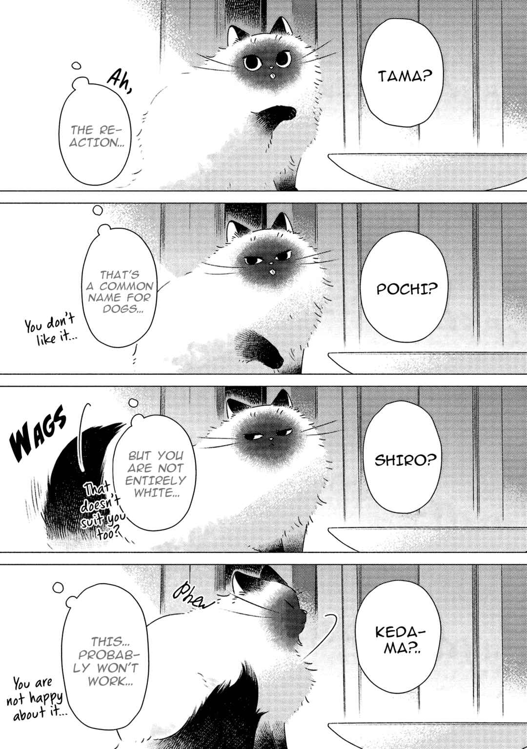 Page 3 Chapter 6 Te no Hira Neko
