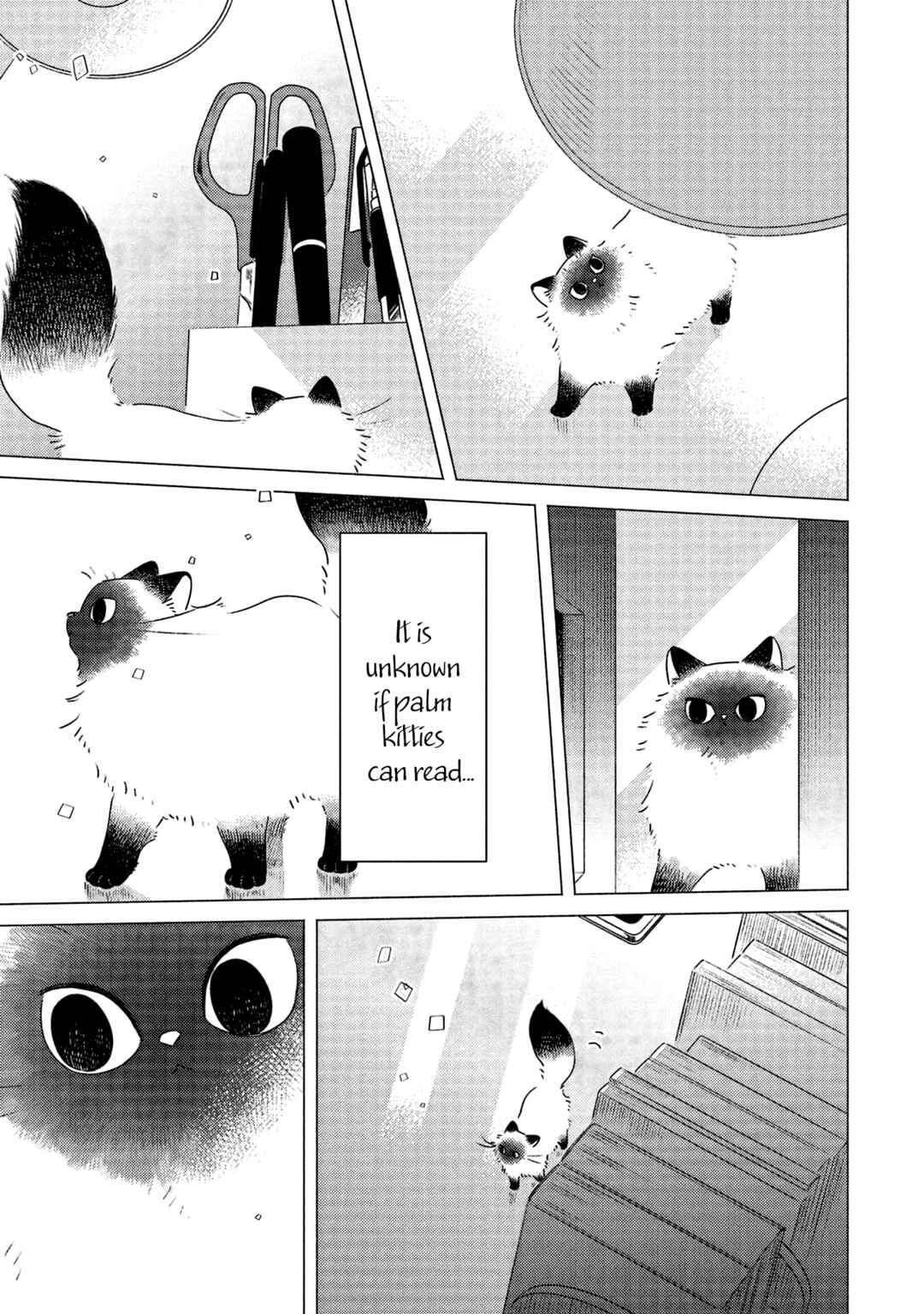 Page 5 Chapter 3 Te no Hira Neko