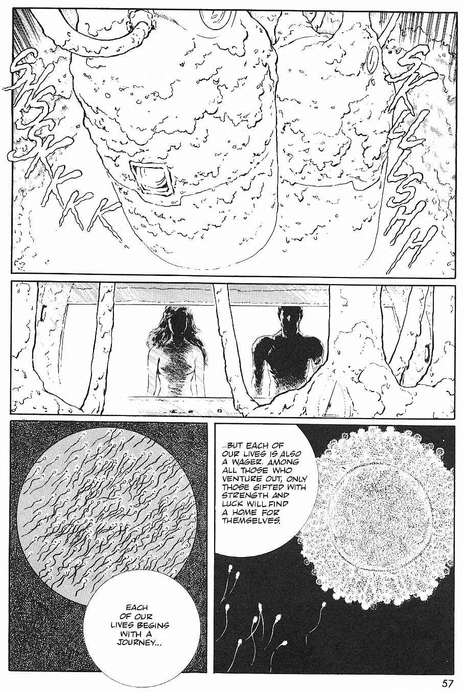 Page 5 Chapter 4 2001 Nights