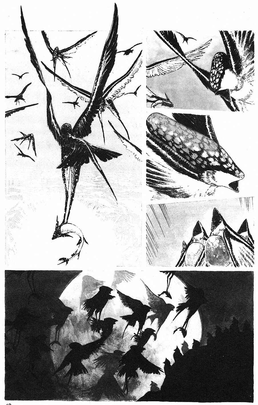 Page 2 Chapter 15 2001 Nights