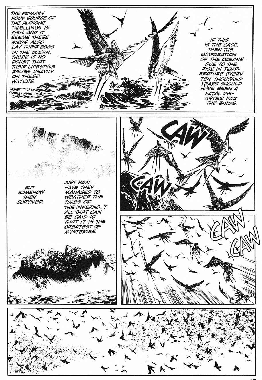 Page 27 Chapter 15 2001 Nights