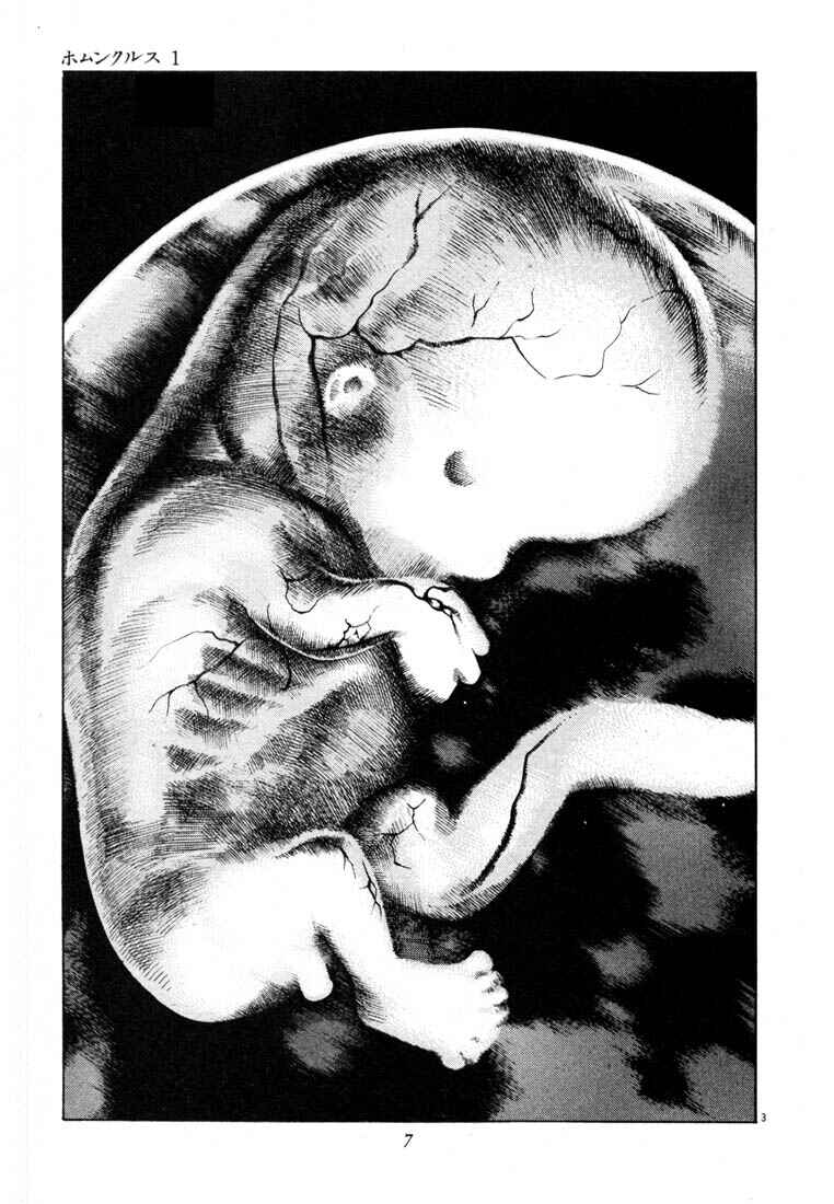 Page 6 Chapter Unknown_03f8 Homunculus