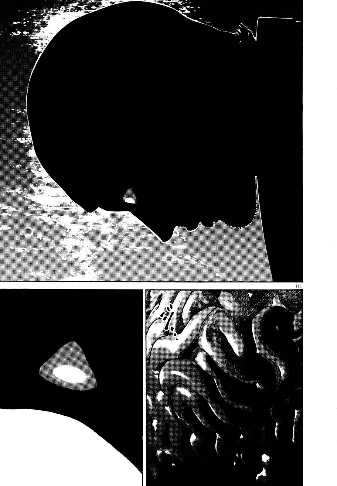 Page 114 Chapter Unknown_5918 Homunculus