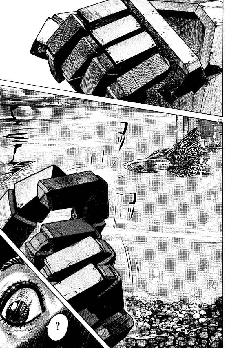 Page 205 Chapter Unknown_7788 Homunculus