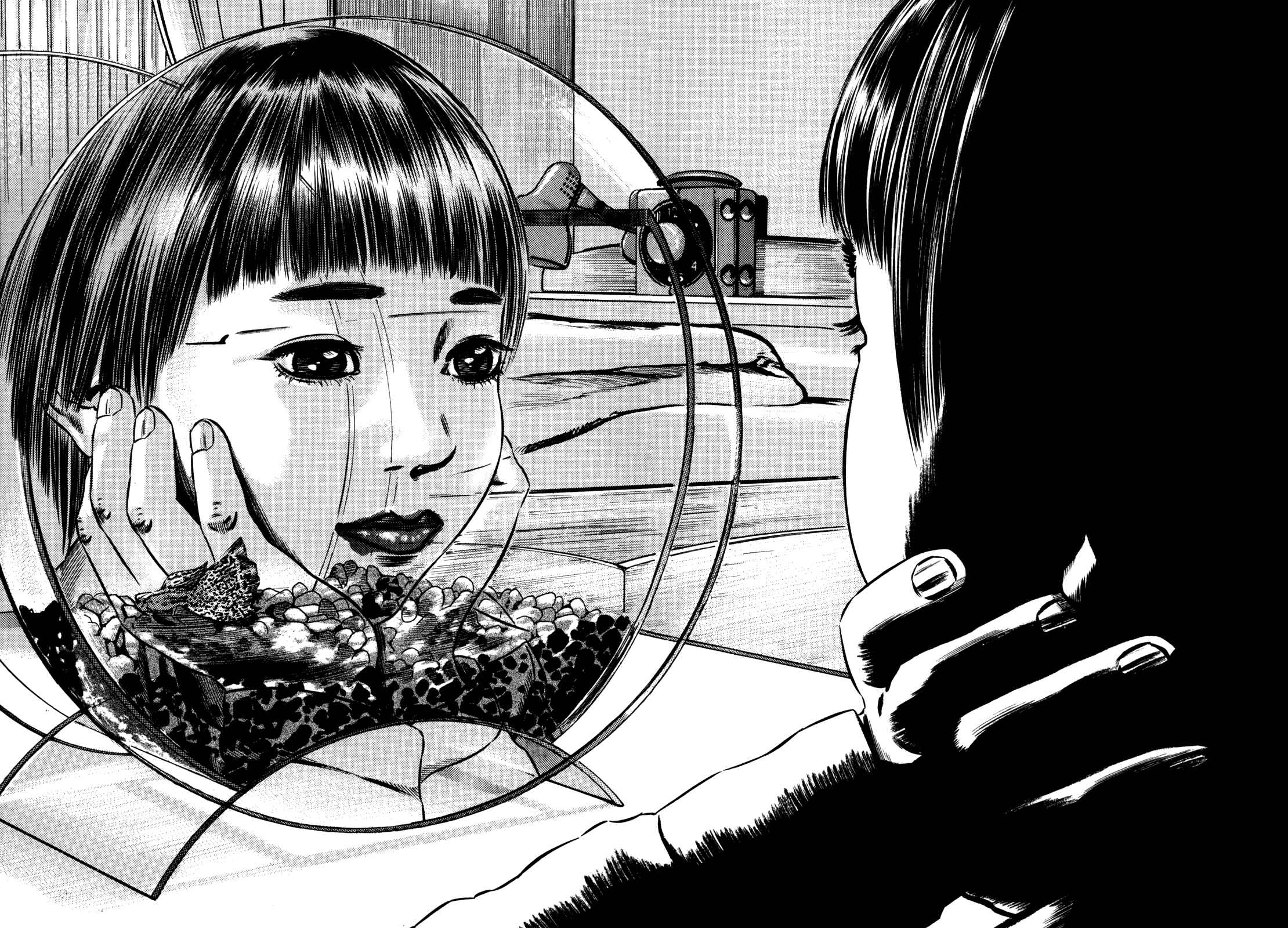 Page 40 Chapter 2 Homunculus
