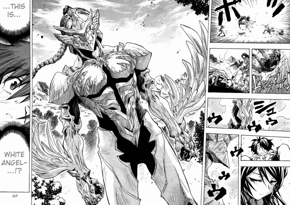 Page 31 Chapter 3 BLASSREITER -genetic-